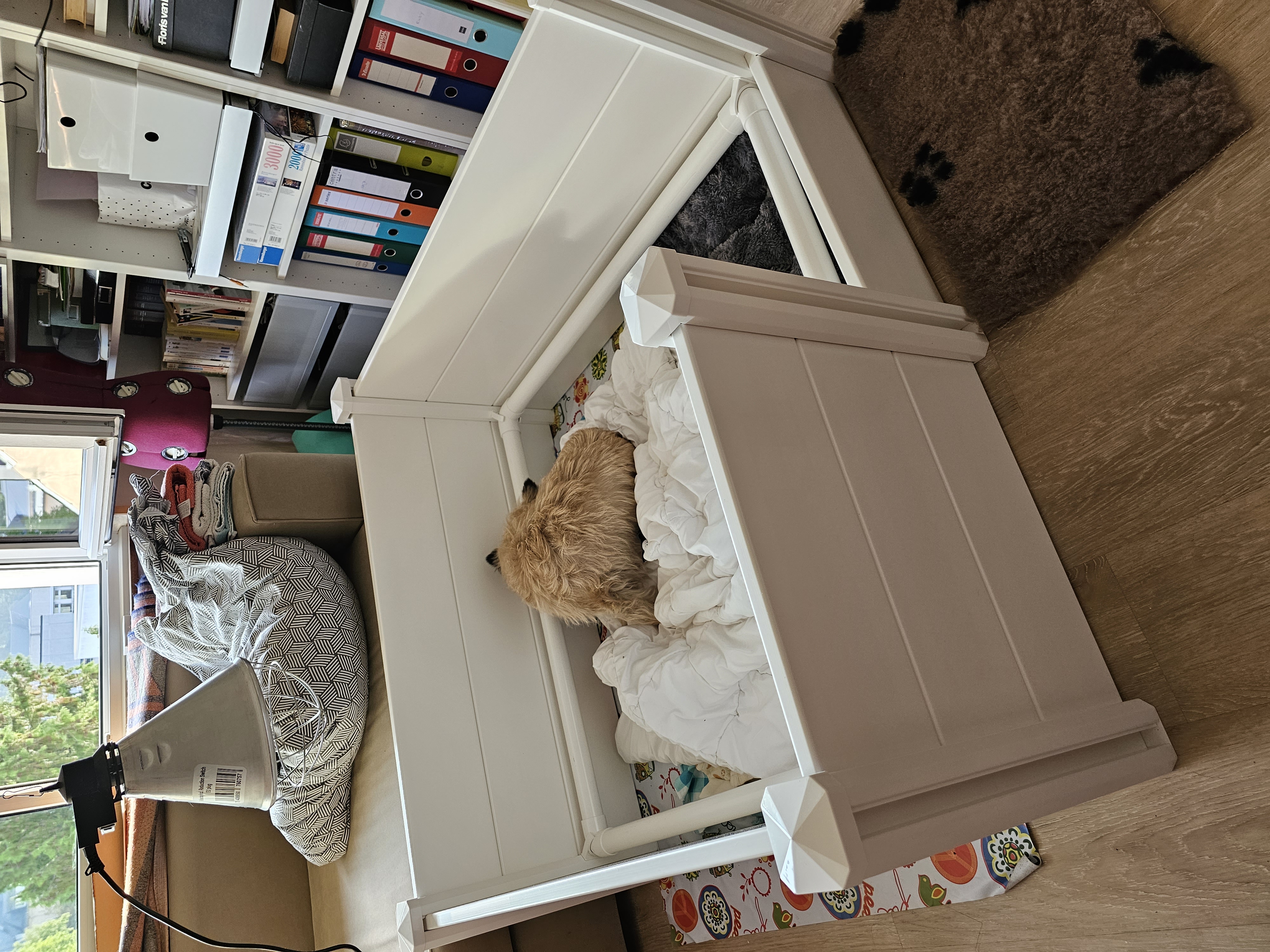 Vun Attilbrigga Cairn Terrier