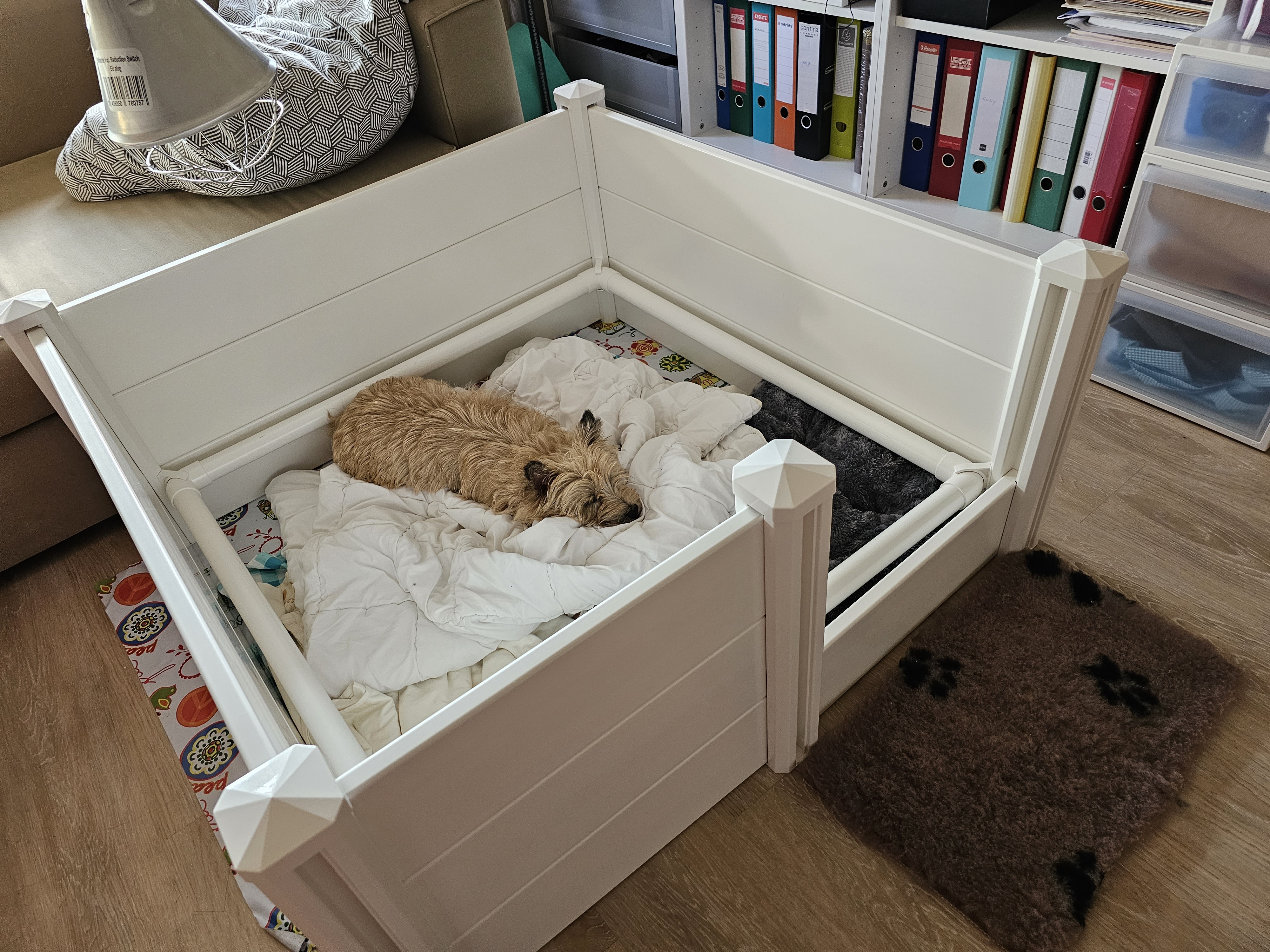 Vun Attilbrigga Cairn Terrier