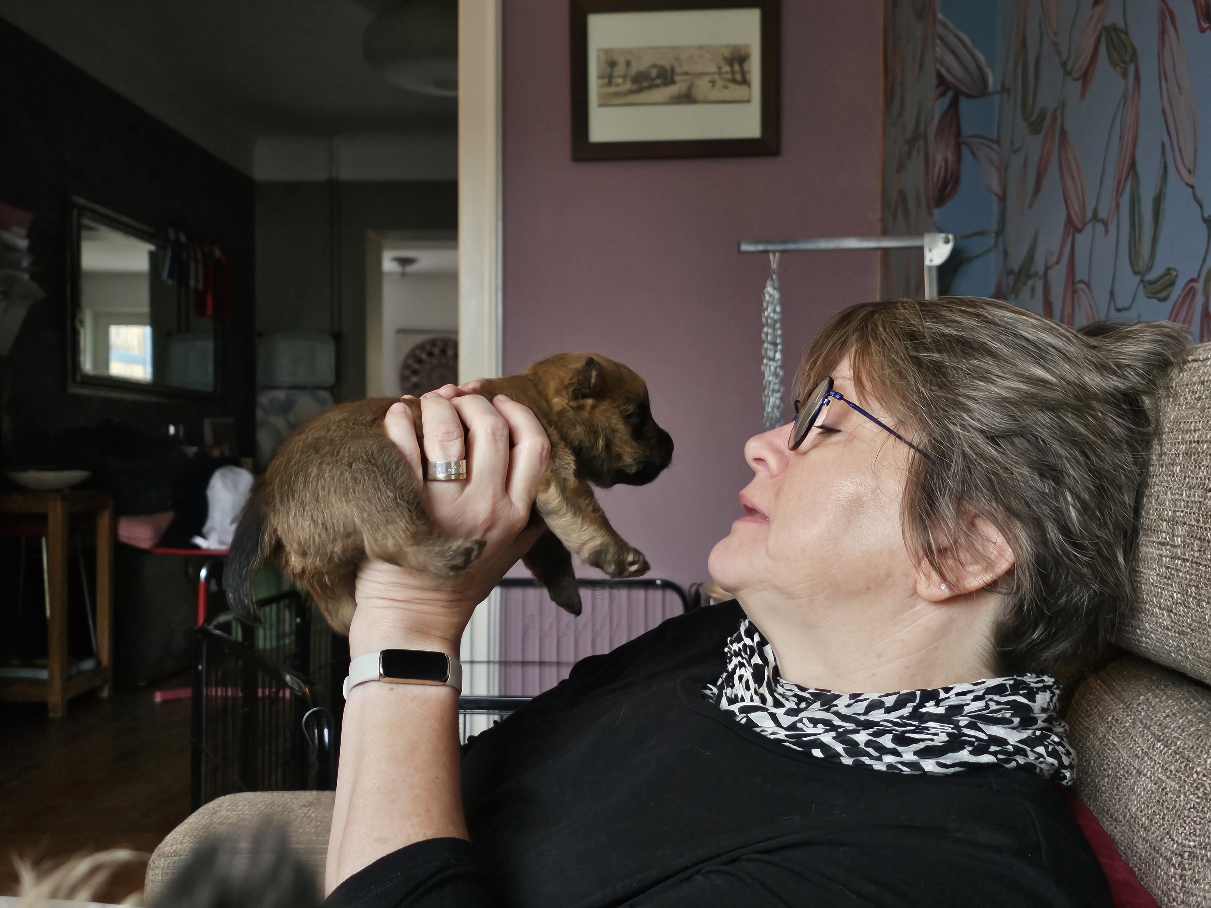 Vun Attilbrigga Cairn Terrier