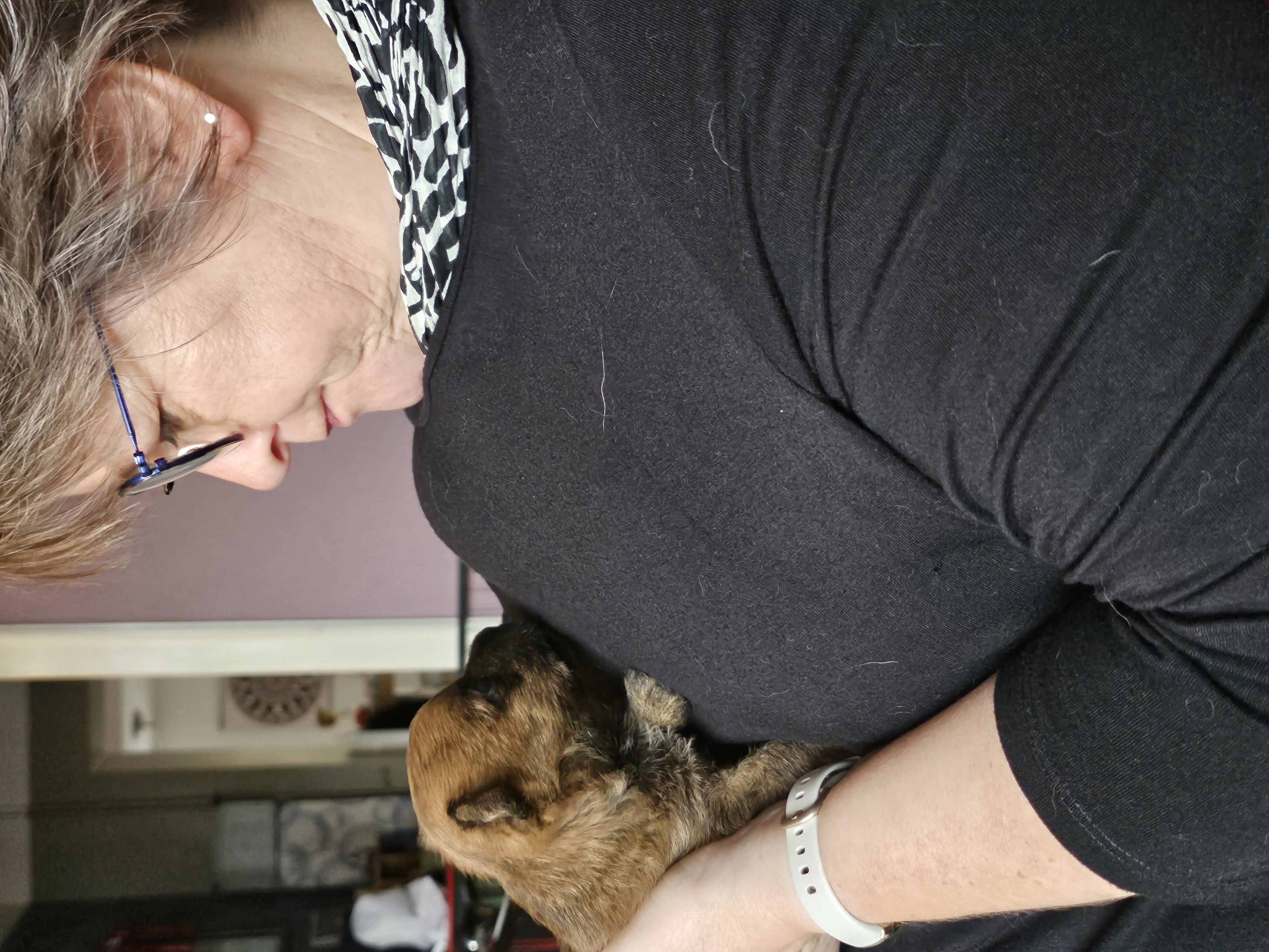 Vun Attilbrigga Cairn Terrier