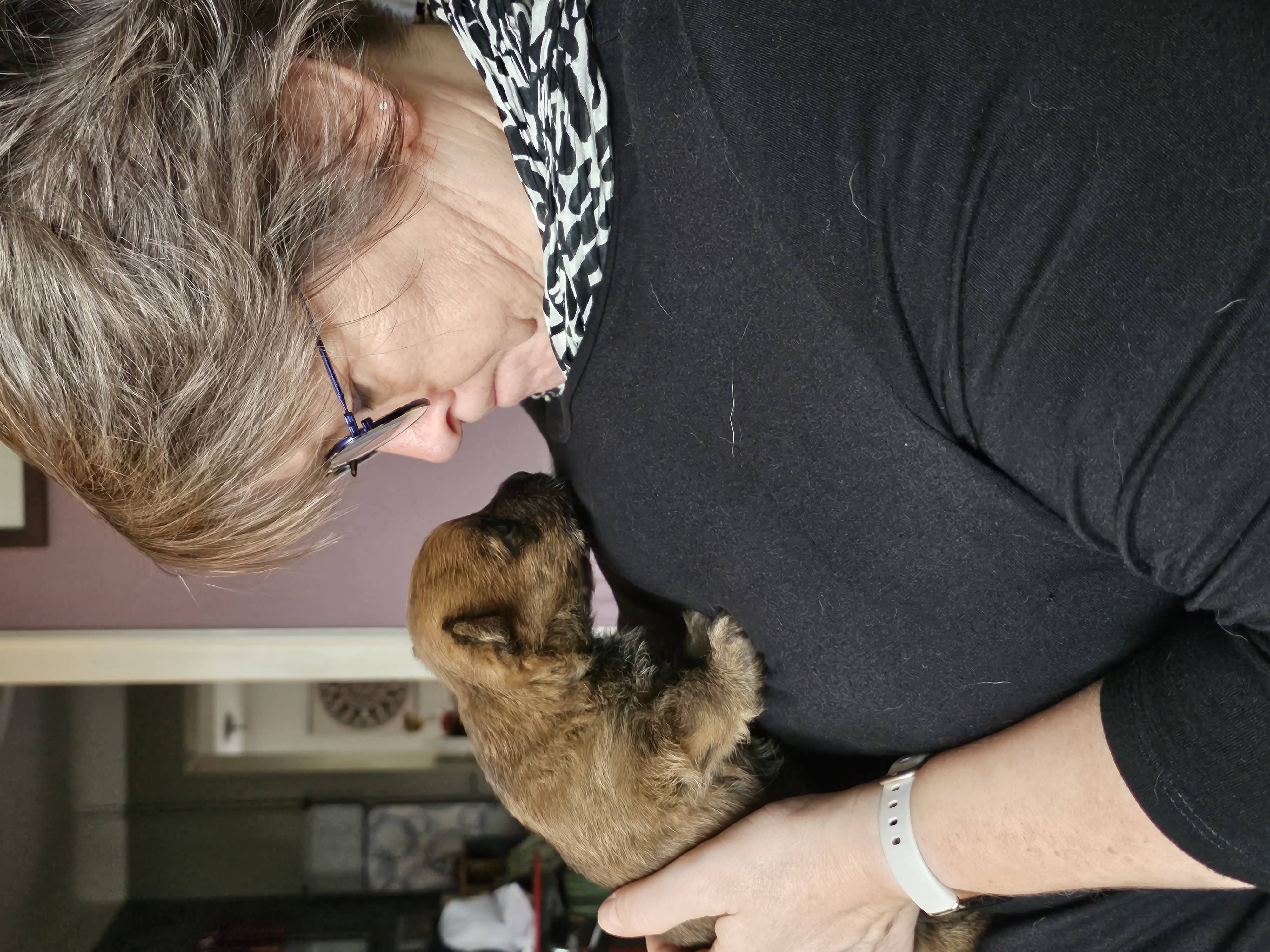 Vun Attilbrigga Cairn Terrier
