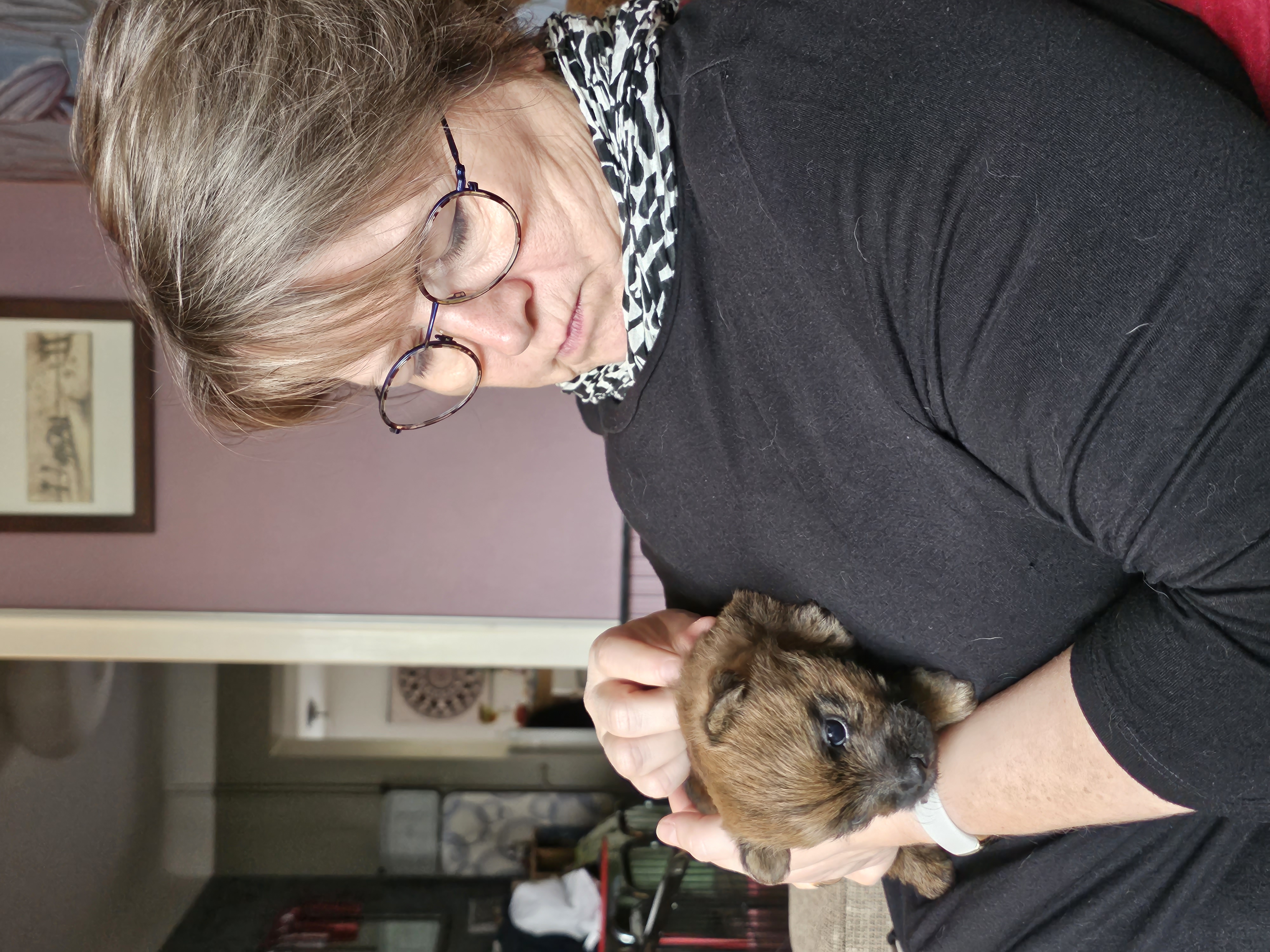 Vun Attilbrigga Cairn Terrier