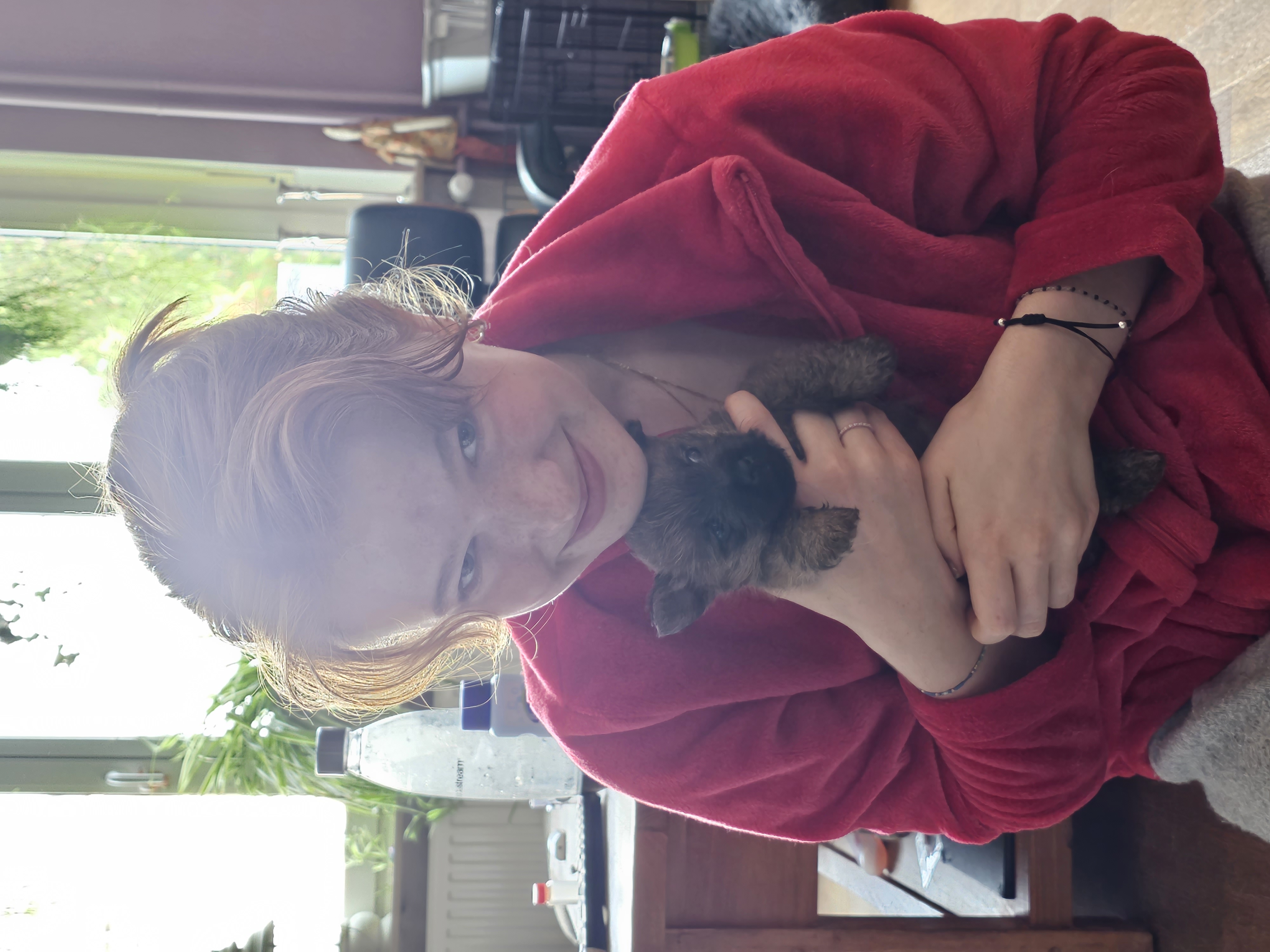 Vun Attilbrigga Cairn Terrier
