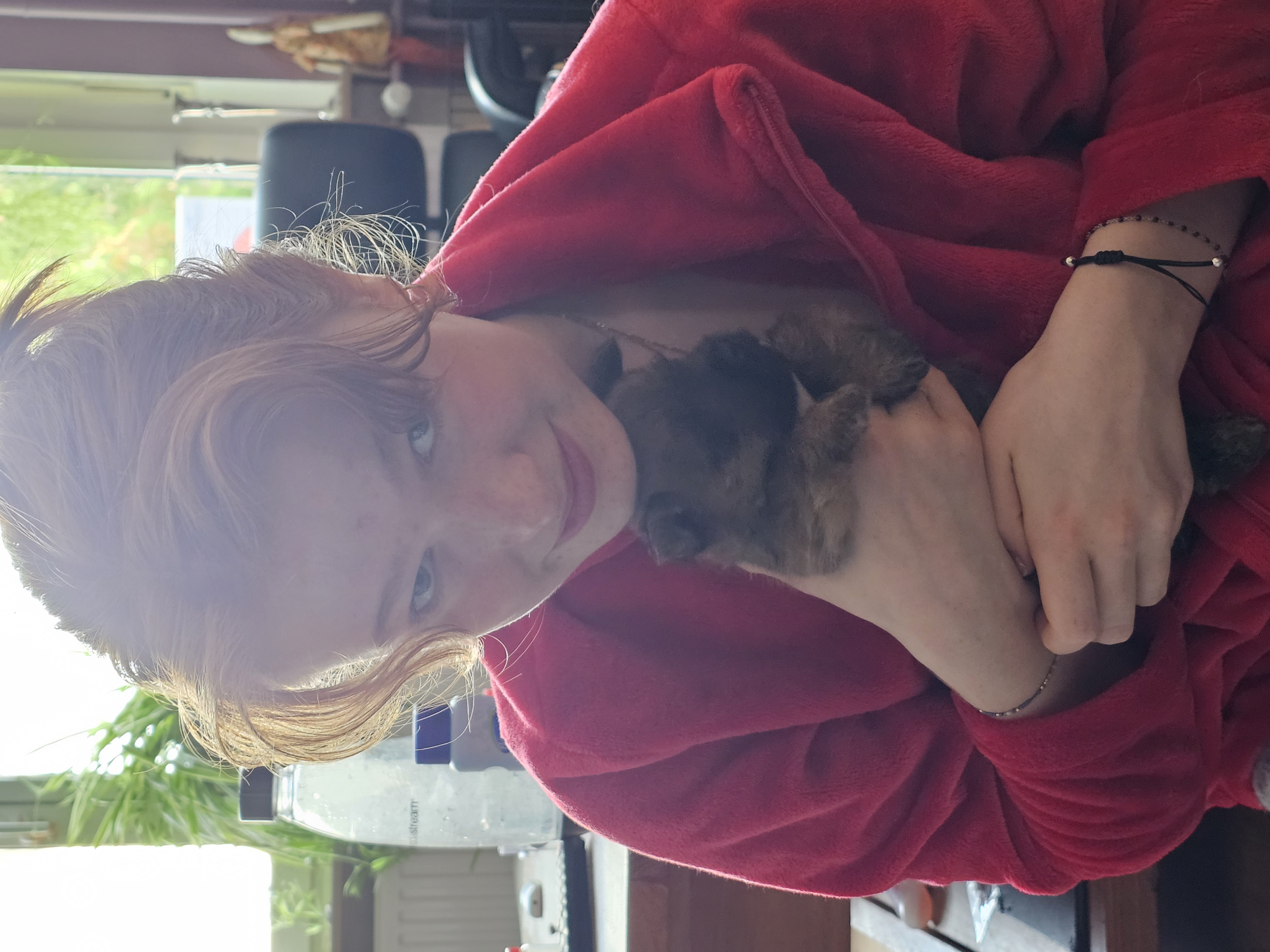 Vun Attilbrigga Cairn Terrier