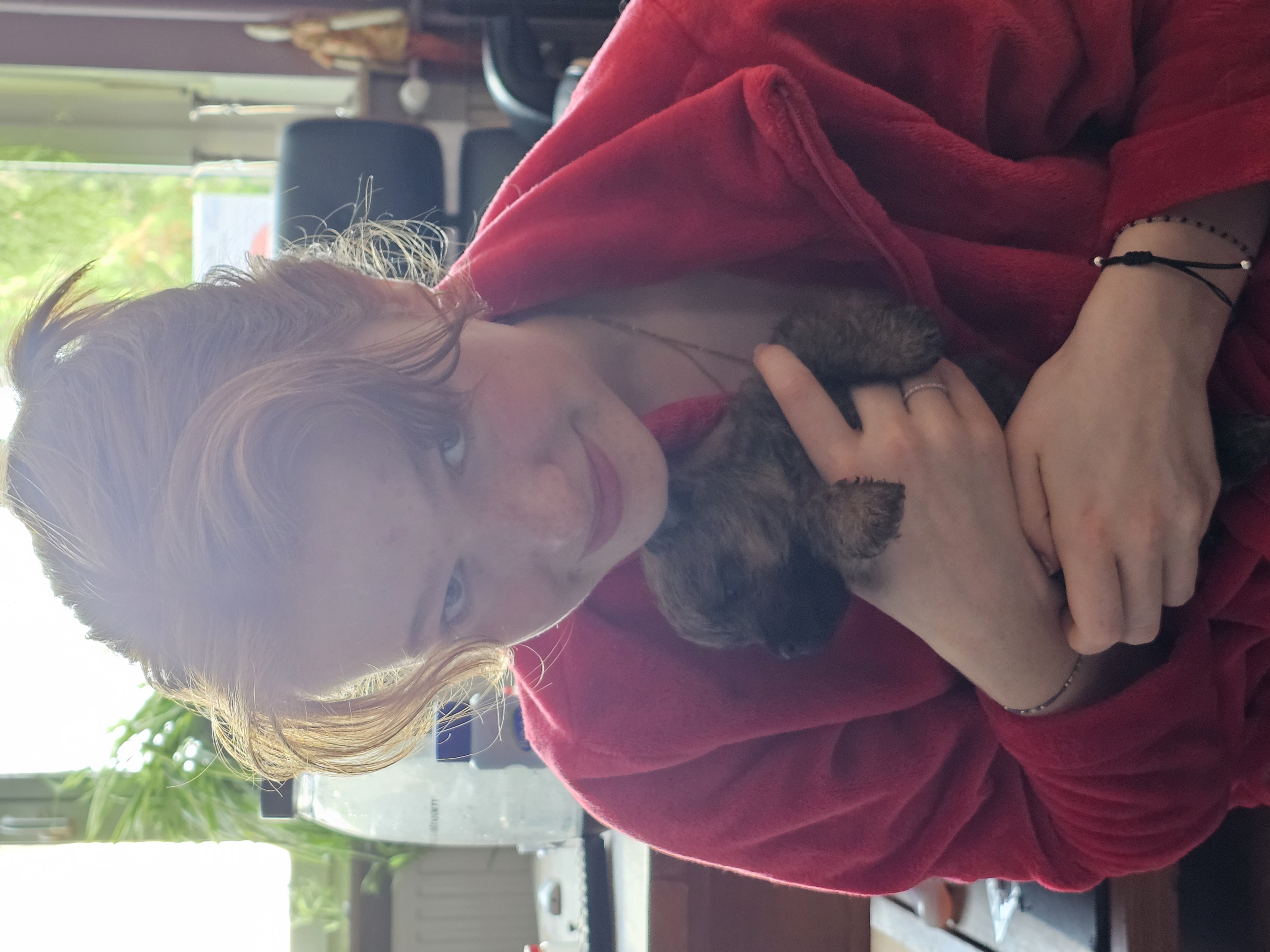 Vun Attilbrigga Cairn Terrier