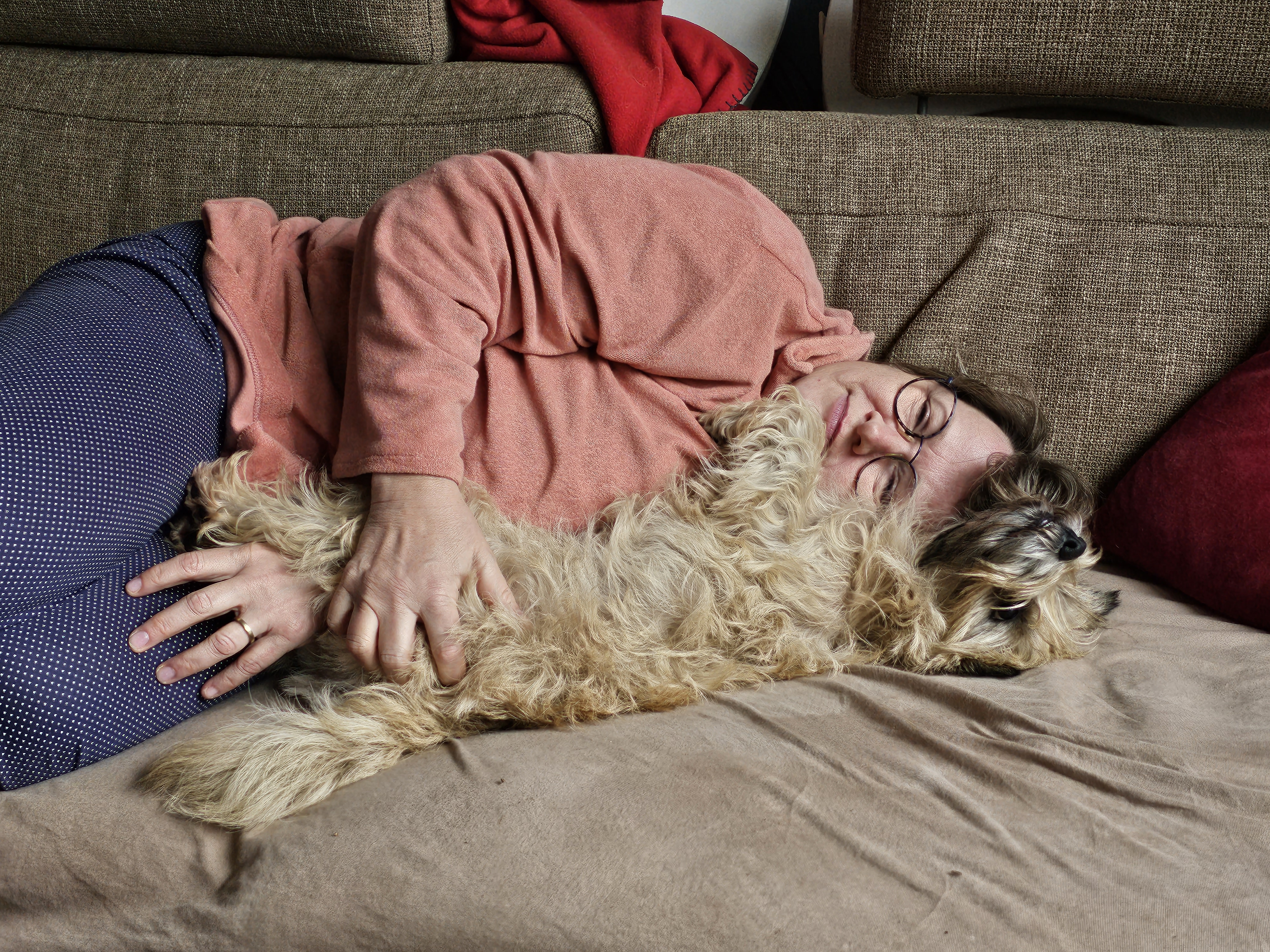 Vun Attilbrigga Cairn Terrier