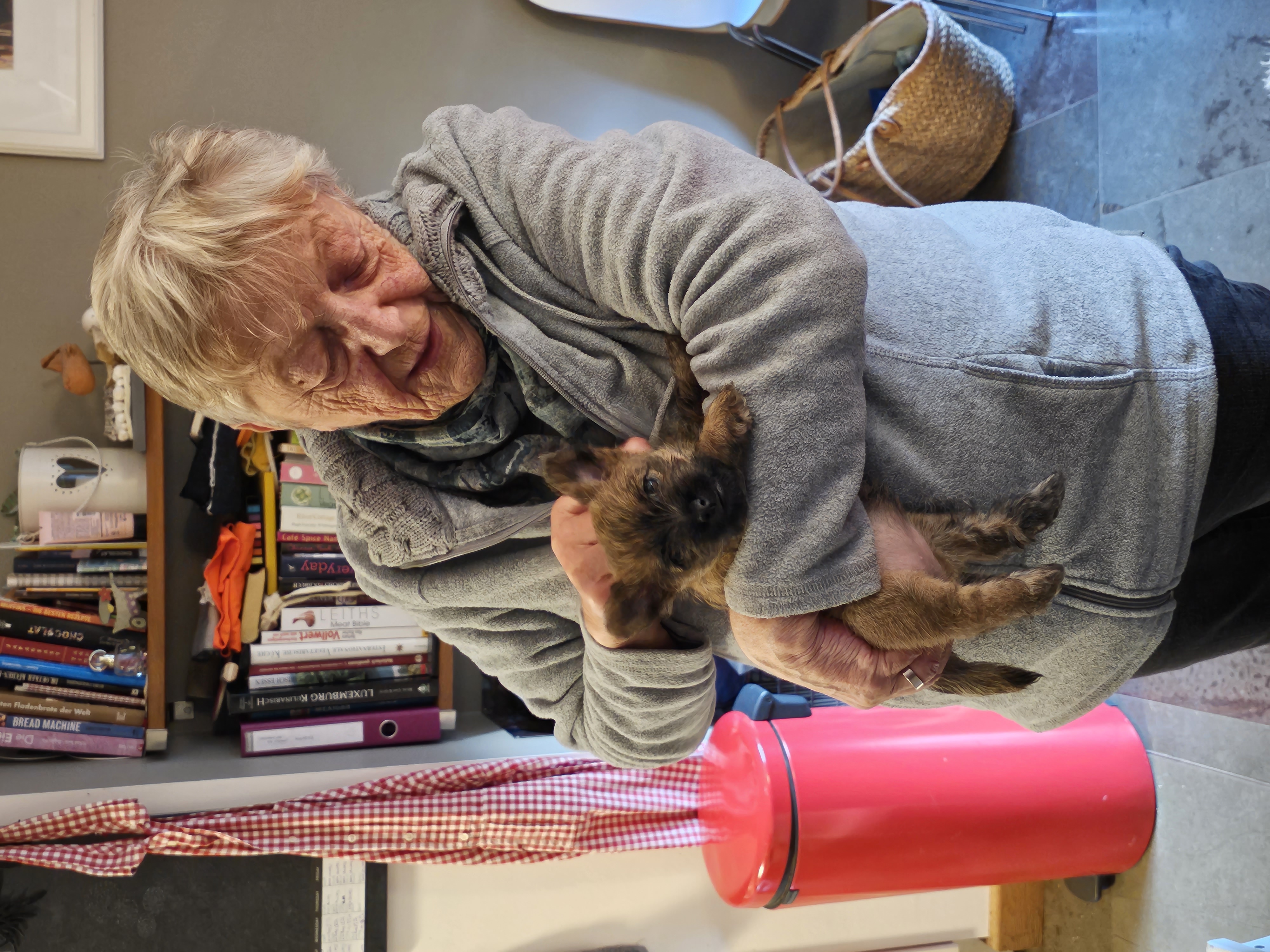 Vun Attilbrigga Cairn Terrier