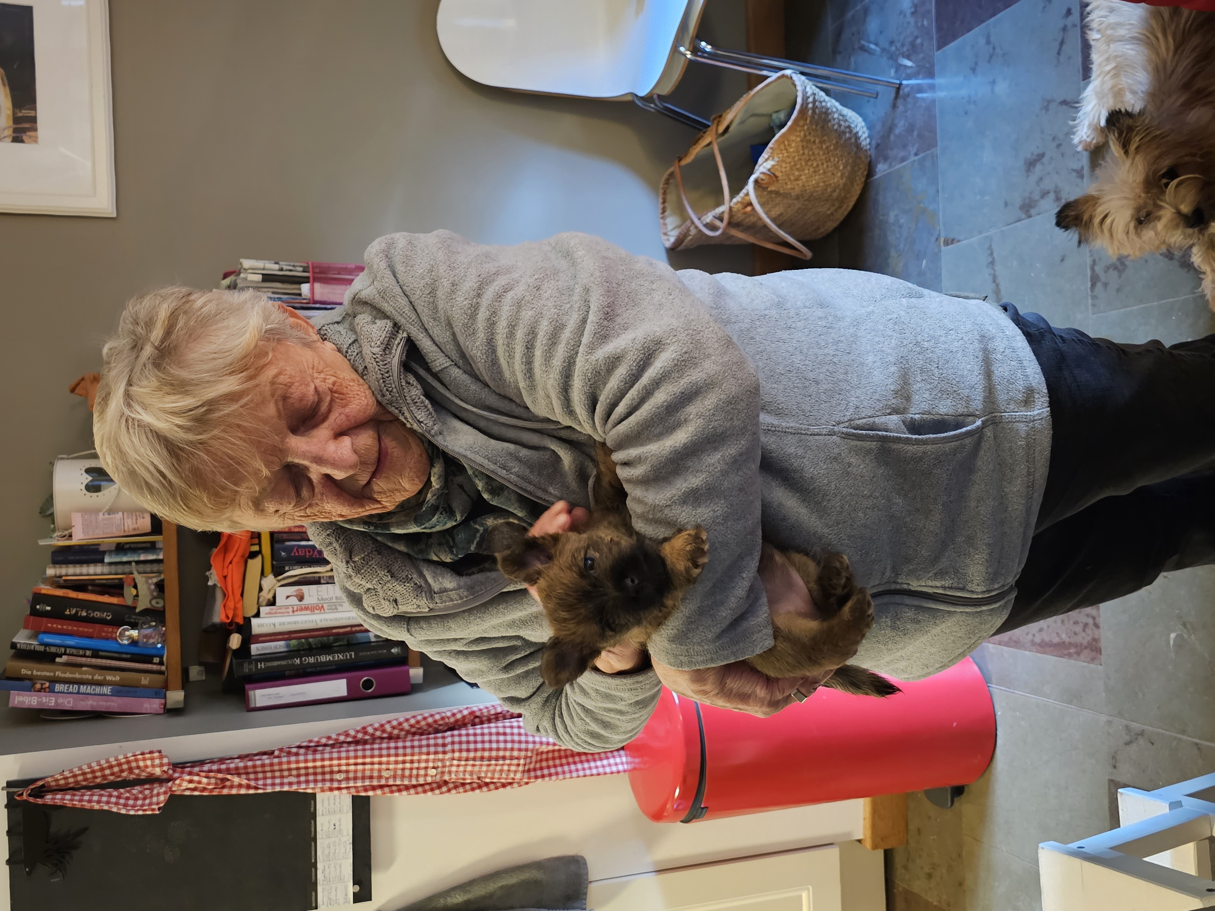 Vun Attilbrigga Cairn Terrier