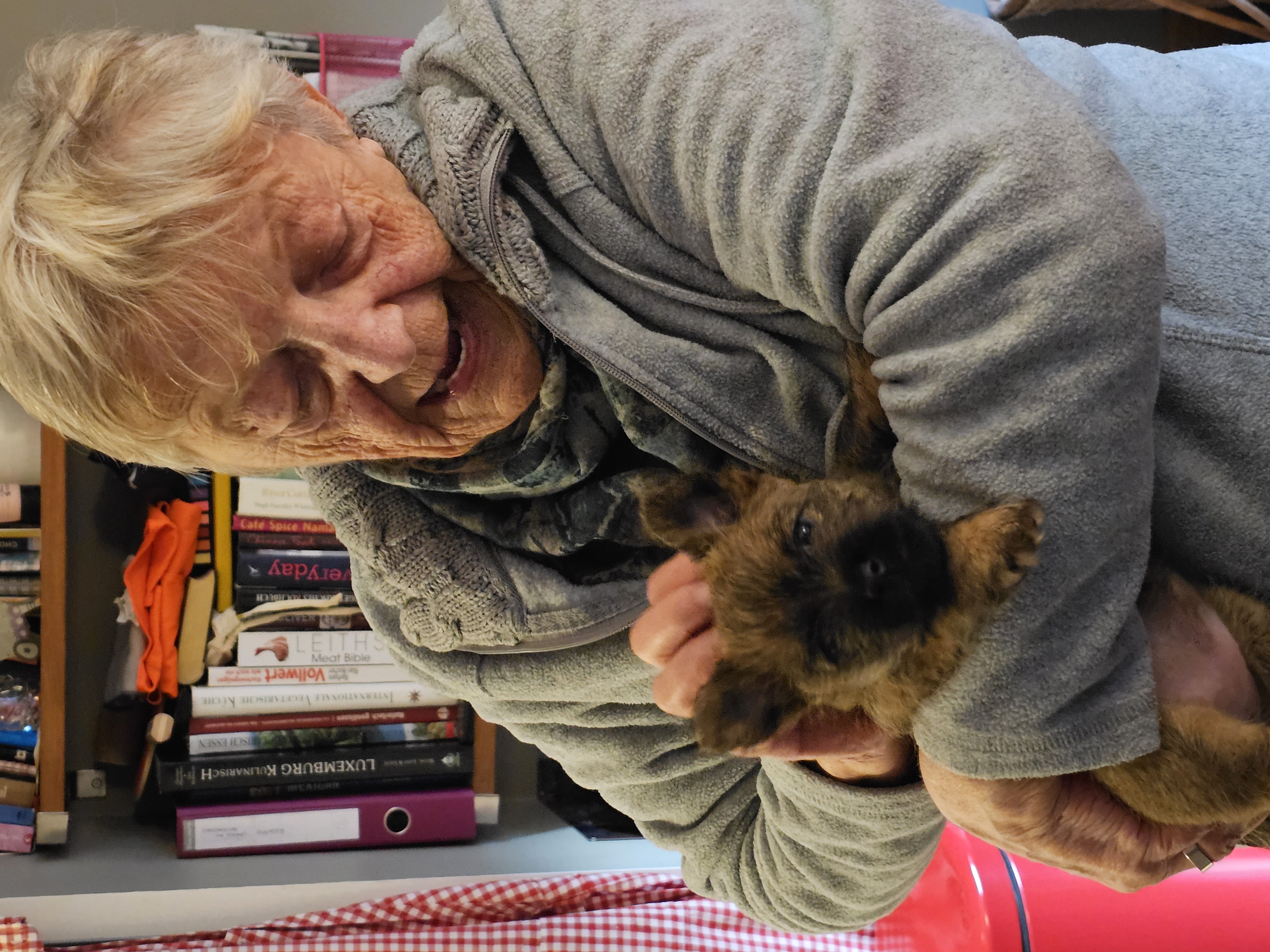 Vun Attilbrigga Cairn Terrier