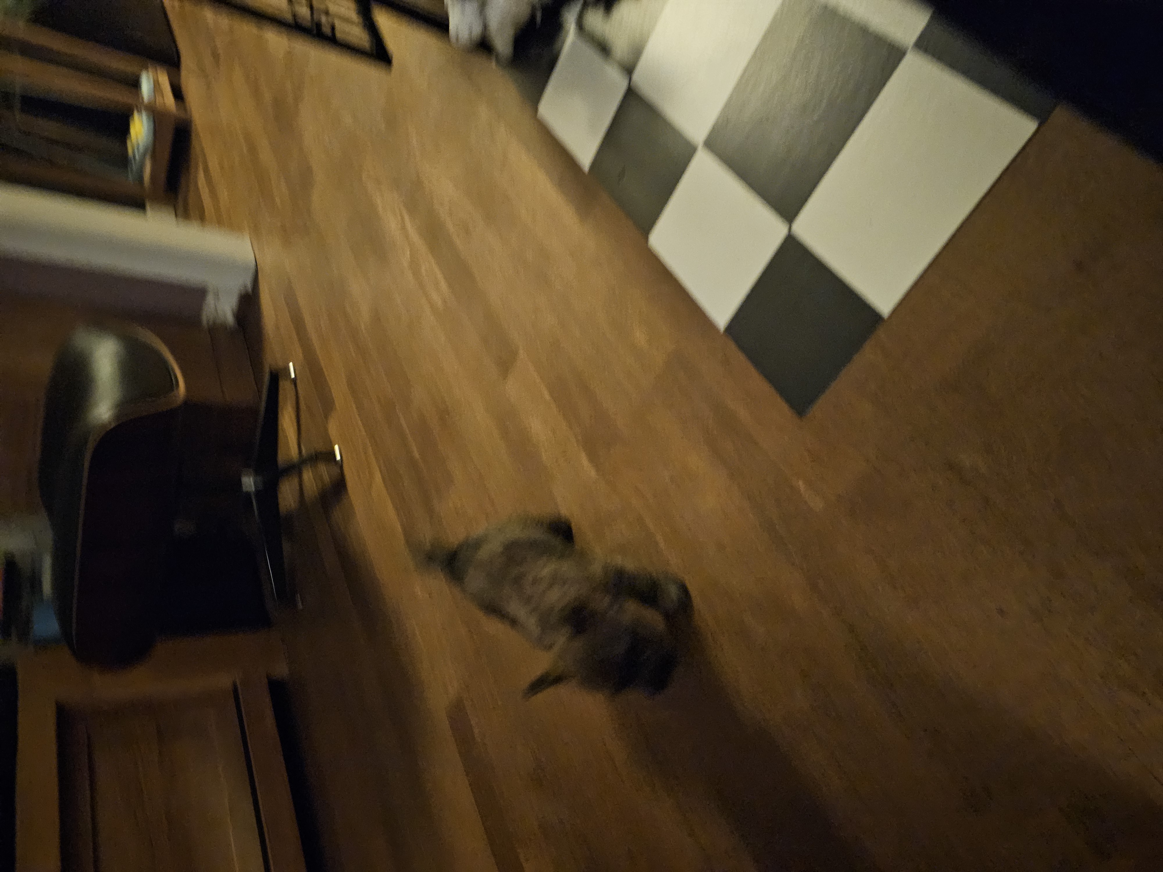 Vun Attilbrigga Cairn Terrier