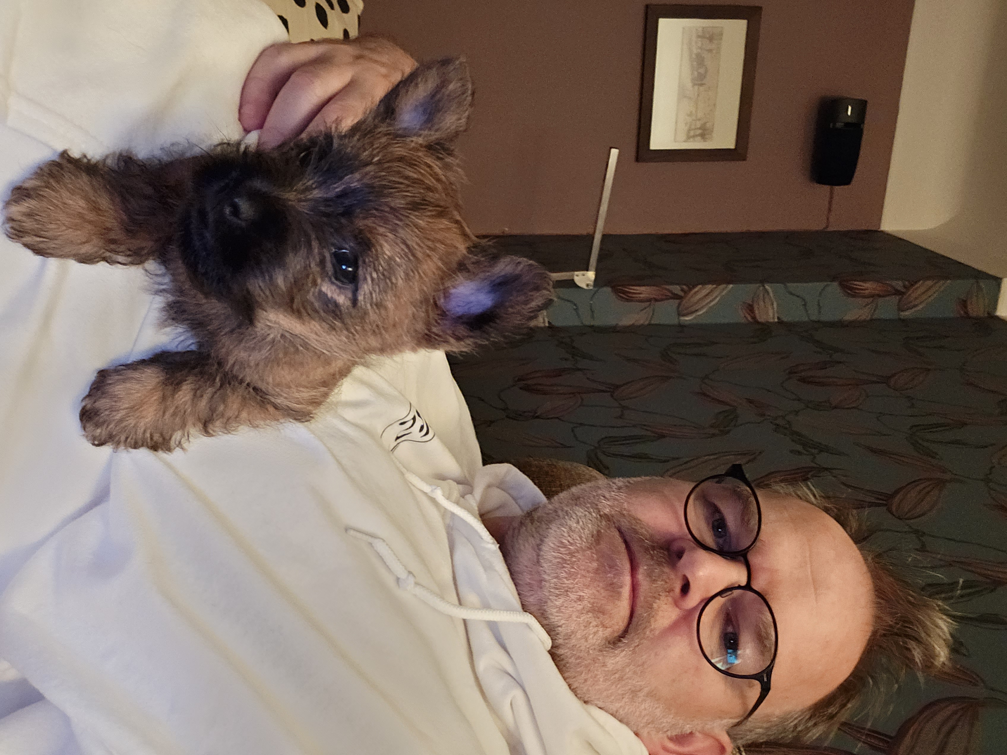 Vun Attilbrigga Cairn Terrier